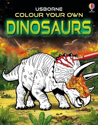 Colour Your Own Dinosaurs - Sam Smith