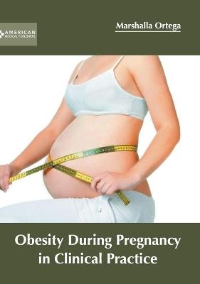 Obesity During Pregnancy in Clinical Practice - 