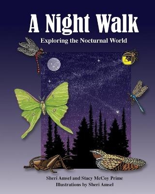 A Night Walk - Sheri Amsel, Stacy McCoy