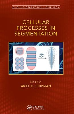 Cellular Processes in Segmentation - 