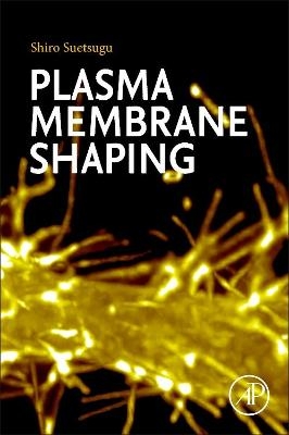 Plasma Membrane Shaping - 