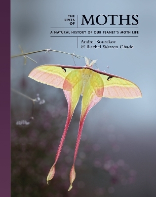 The Lives of Moths - Andrei Sourakov, Rachel Warren Chadd
