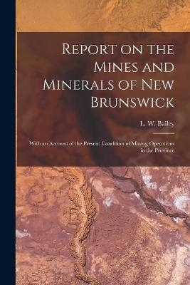 Report on the Mines and Minerals of New Brunswick [microform] - 