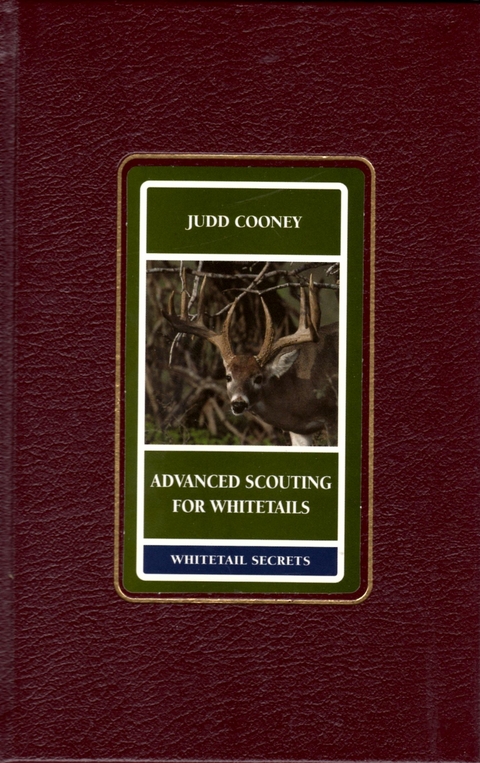 Advanced Scouting for Whitetails -  Judd Cooney