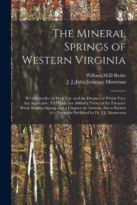 The Mineral Springs of Western Virginia - 