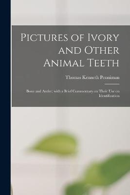 Pictures of Ivory and Other Animal Teeth - Thomas Kenneth 1895- Penniman