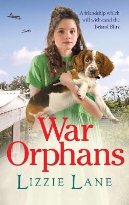 War Orphans -  Lizzie Lane