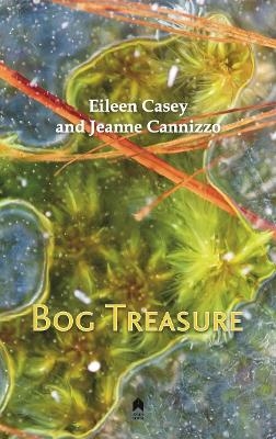 Bog Treasure - Eileen Casey