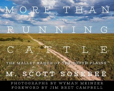 More Than Running Cattle - M. Scott Sosebee, Wyman Meinzer