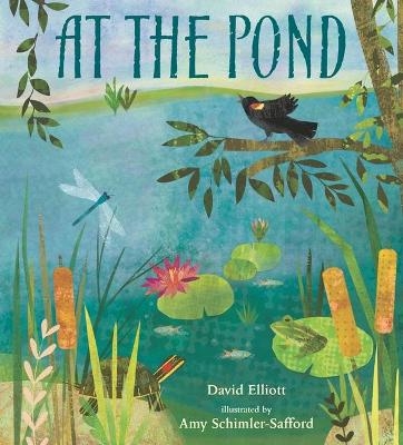 At the Pond - David Elliott