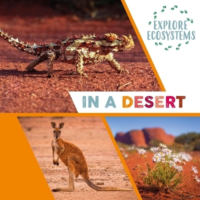 Explore Ecosystems: In a Desert - Sarah Ridley
