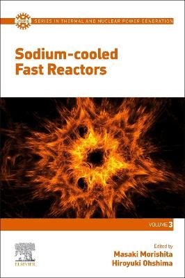 Sodium-cooled Fast Reactors - 