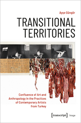 Transitional Territories - Ayse Güngör