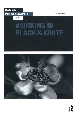 Working in Black & White - David Präkel