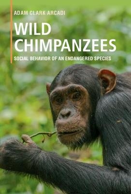 Wild Chimpanzees - Adam Clark Arcadi