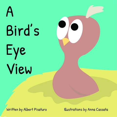 Bird's Eye View -  Albert Pisaturo