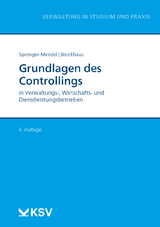 Grundlagen des Controllings - Michael Thomas P Sprenger-Menzel, Christian P Brockhaus