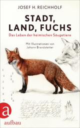 Stadt, Land, Fuchs - Josef H. Reichholf