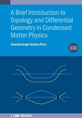 A Brief Introduction to Topology and Differential Geometry in Condensed Matter Physics - Antonio Sergio Teixeira Pires