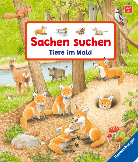 Sachen suchen: Tiere im Wald - Susanne Gernhäuser