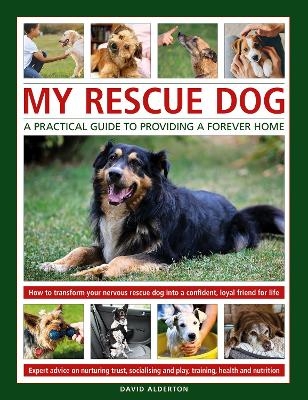 My Rescue Dog: A practical guide to providing a forever home - David Alderton