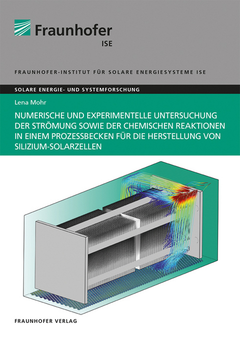 Numerische und experimentelle Untersuchung der Strömung sowie der chemischen Reaktionen in einem Prozessbecken für die Herstellung von Silizium-Solarzellen - Lena Mohr