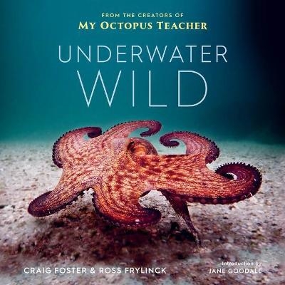 Underwater Wild - Craig Foster