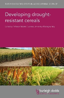 Developing Drought-Resistant Cereals - 