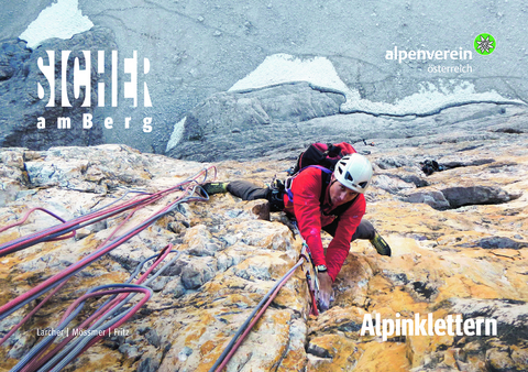 Sicher am Berg: Alpinklettern - Gerhard Mössmer, Lukas Fritz, Michael Larcher