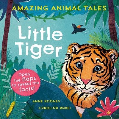 Amazing Animal Tales: Little Tiger - Anne Rooney