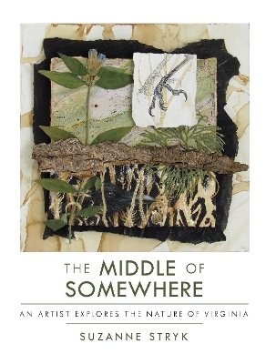 The Middle of Somewhere - Suzanne Stryk