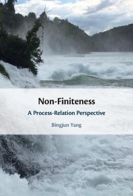 Non-Finiteness - Bingjun Yang