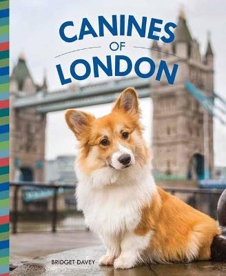 Canines of London - Bridget Davey