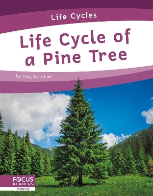 Life Cycles: Life Cycle of a Pine Tree - Meg Gaertner