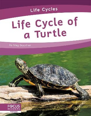 Life Cycles: Life Cycle of a Turtle - Meg Gaertner
