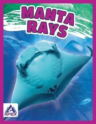 Giants of the Sea: Manta Rays - Angela Lim