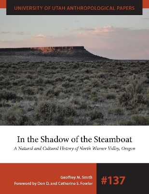 In the Shadow of the Steamboat - Geoffrey M. Smith