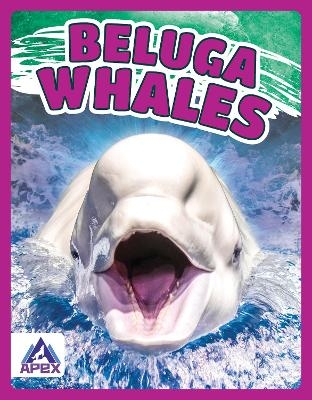 Giants of the Sea: Beluga Whales - Angela Lim