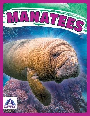 Giants of the Sea: Manatees - Katie Chanez