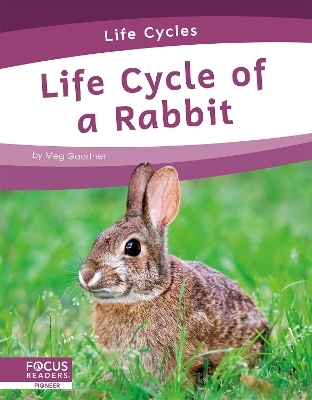 Life Cycles: Life Cycle of a Rabbit - Meg Gaertner