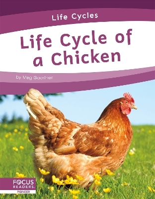 Life Cycles: Life Cycle of a Chicken - Meg Gaertner