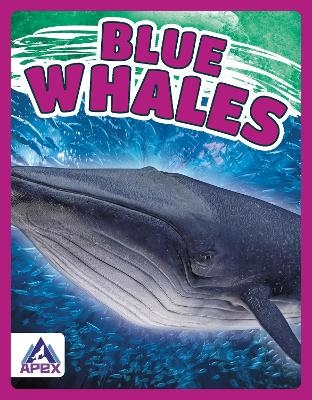 Giants of the Sea: Blue Whales - Katie Chanez