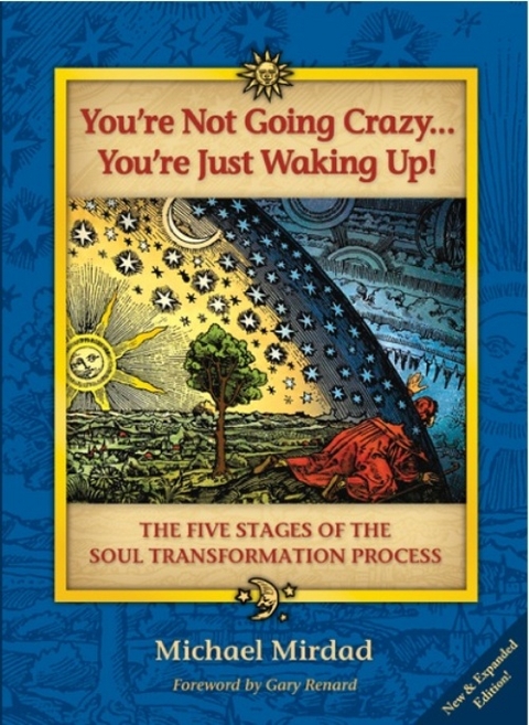 You're Not Going Crazy . . . You're Just Waking Up! -  Michael Mirdad