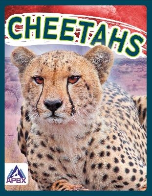 Wild Cats: Cheetahs - Sophie Geister-Jones