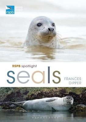 RSPB Spotlight Seals - Dr Frances Dipper