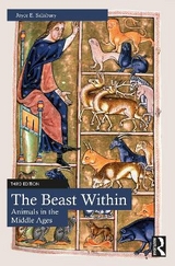 The Beast Within - Salisbury, Joyce E.