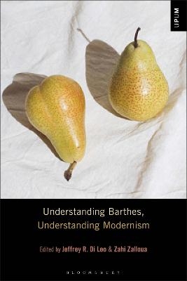 Understanding Barthes, Understanding Modernism - 