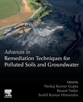 Advances in Remediation Techniques for Polluted Soils and Groundwater - 