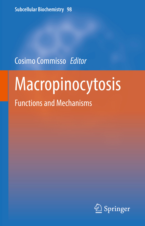Macropinocytosis - 