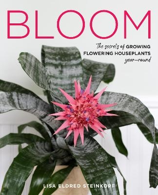 Bloom - Lisa Eldred Steinkopf